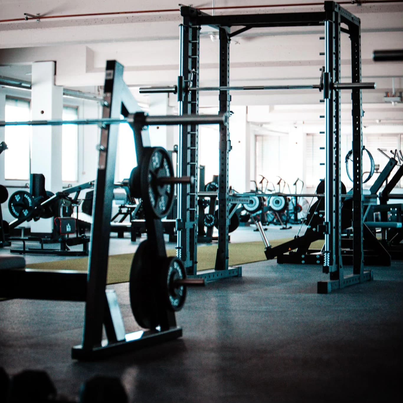Blick in die Trainingsfläche des WH FIT: Power Rack mit Langhantel, Hantelscheiben und Geräte, im Hintergrund Airbikes vor den Fenstern